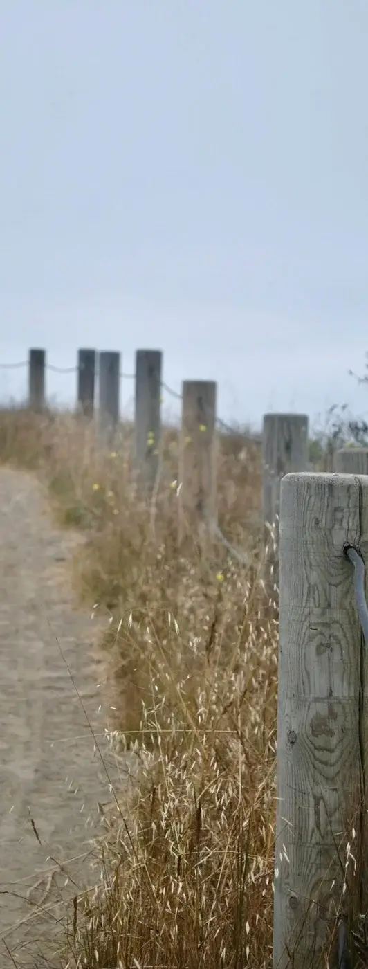 Chemin sur la plage, encadré de poteaux en bois et de sable